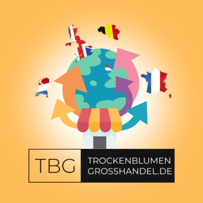 image for Case study: hoe Advertisr. Trockenblumengrosshandel hielp met hun internationale online succes.